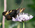 Photography reference: n°5281 <br> Rights-Managed Images <br> Please contact me for more information